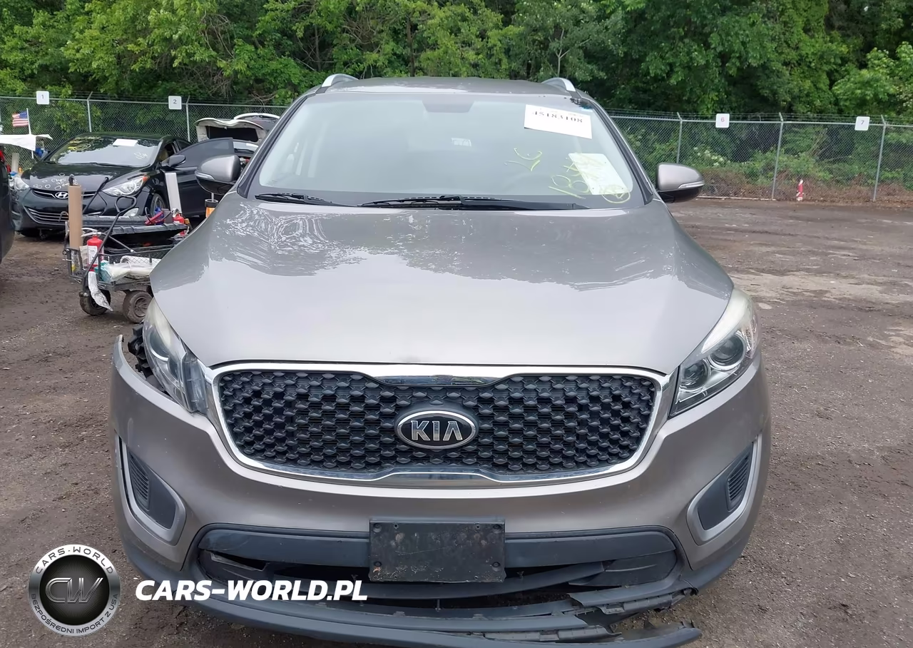 2017 Kia Sorento 2.4L Lx VIN:5XYPG4A34HG287049 - 12