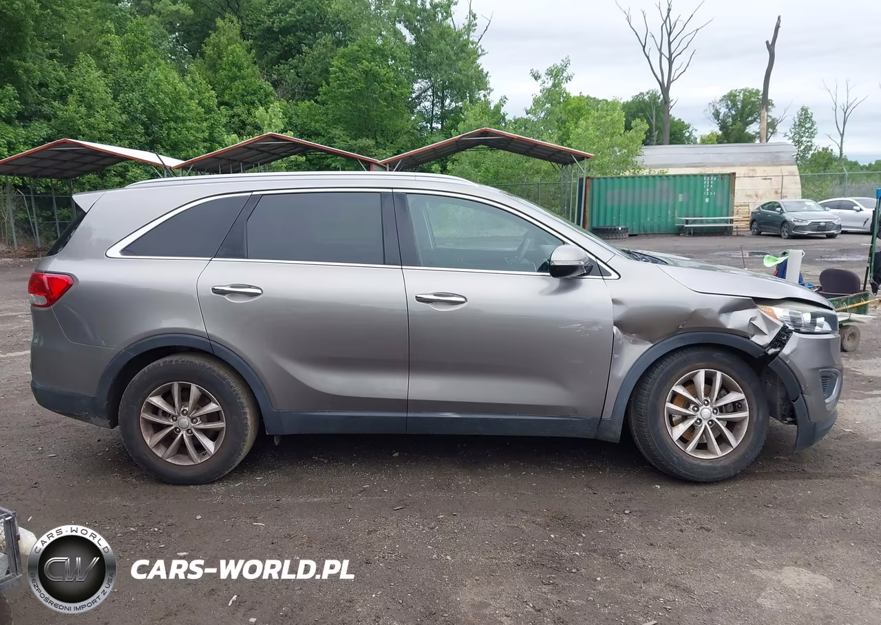 2017 Kia Sorento 2.4L Lx VIN:5XYPG4A34HG287049 - 13