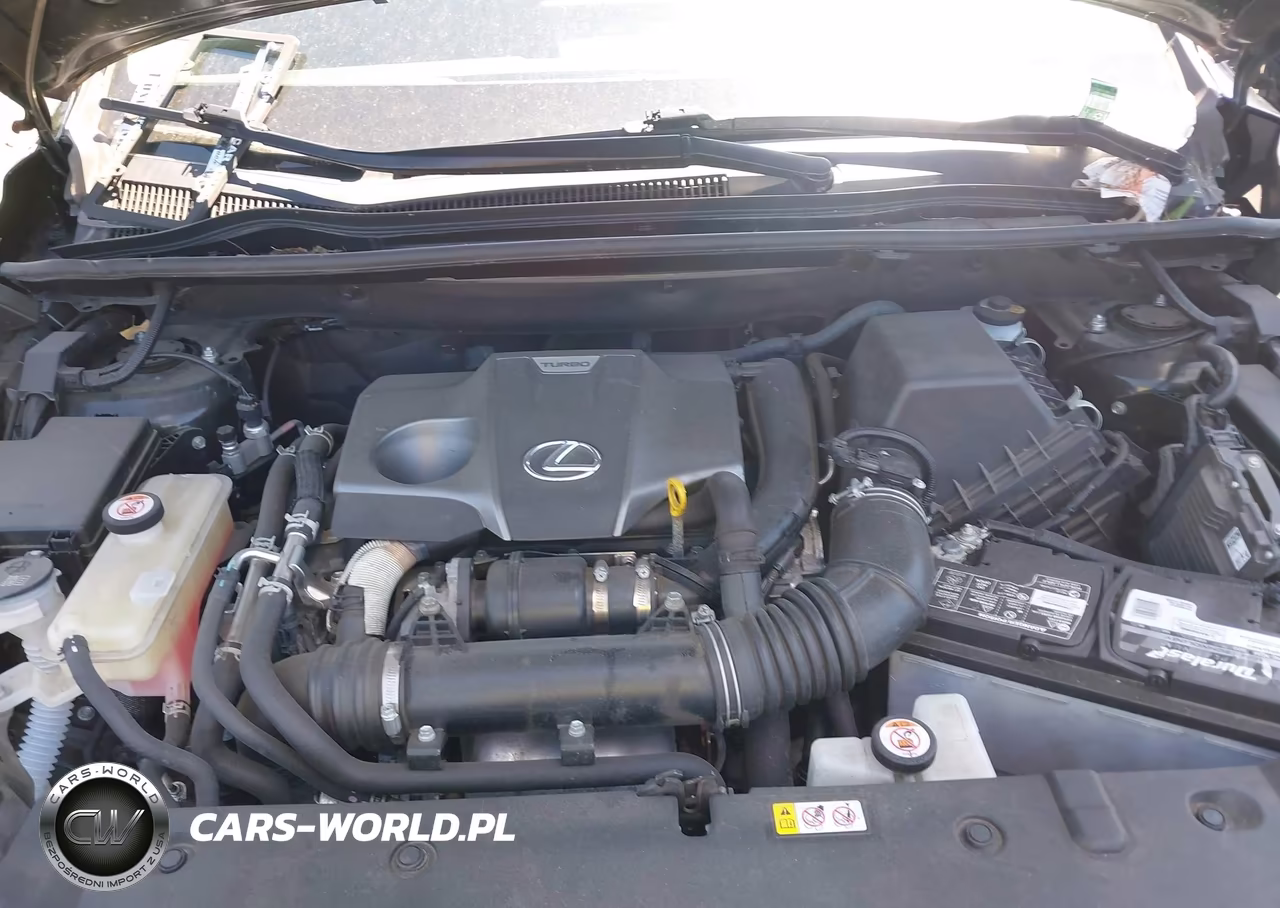 2021 Lexus Nx 300 VIN:JTJDARDZ8M2250511 - 10