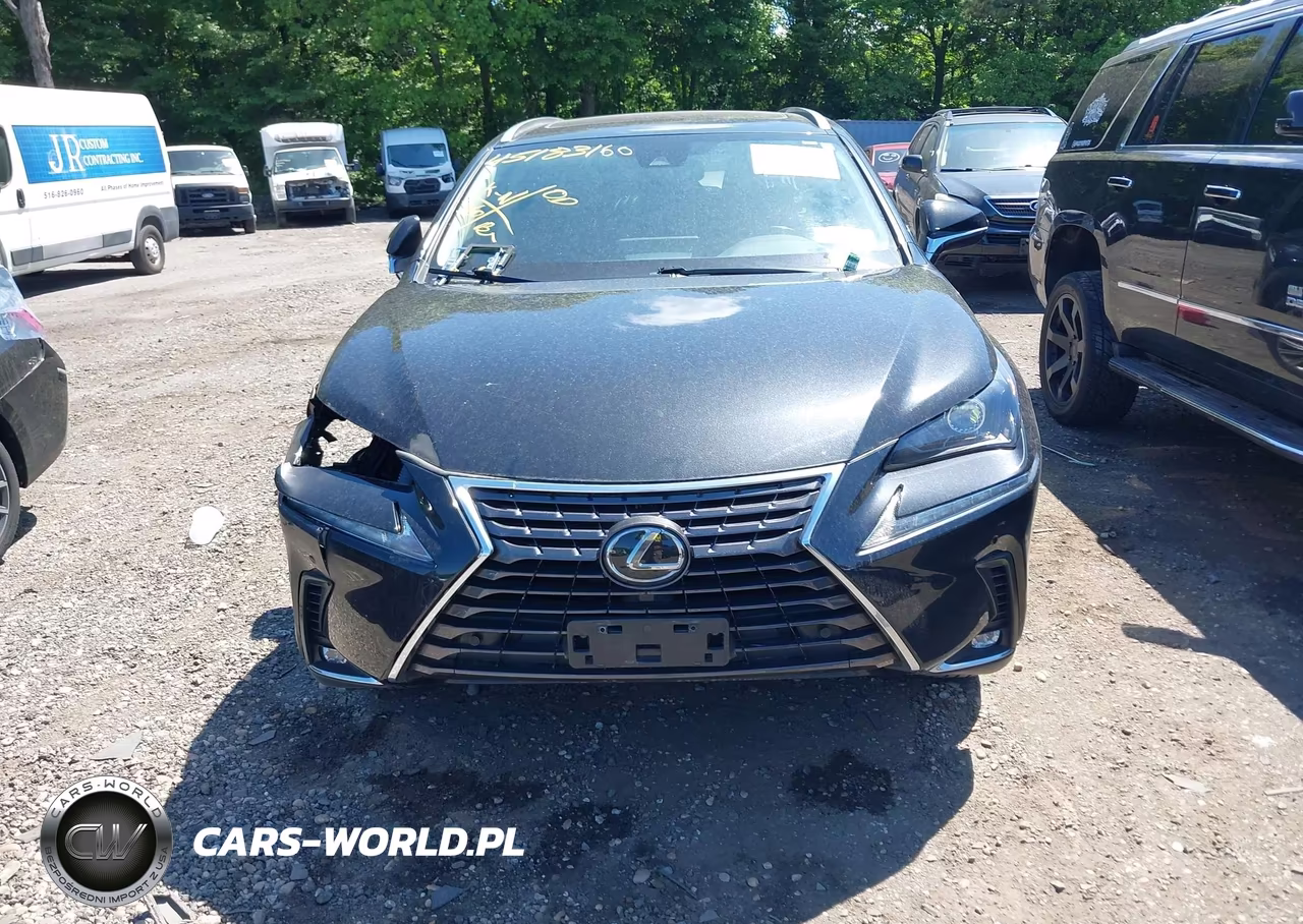2021 Lexus Nx 300 VIN:JTJDARDZ8M2250511 - 11