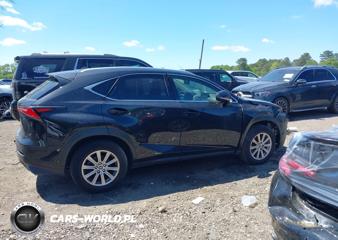 2021 Lexus Nx 300 VIN:JTJDARDZ8M2250511 - 12