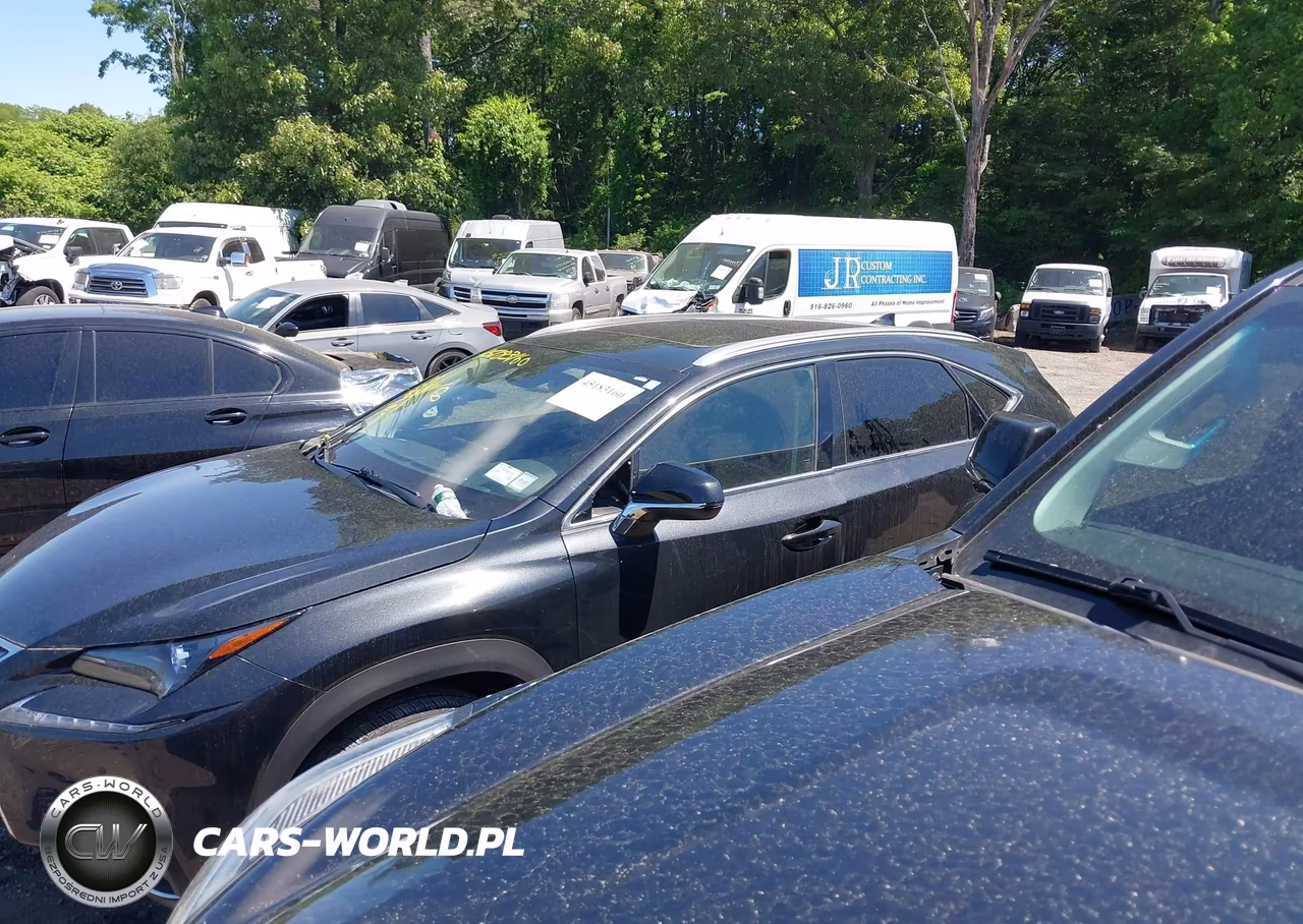 2021 Lexus Nx 300 VIN:JTJDARDZ8M2250511 - 13