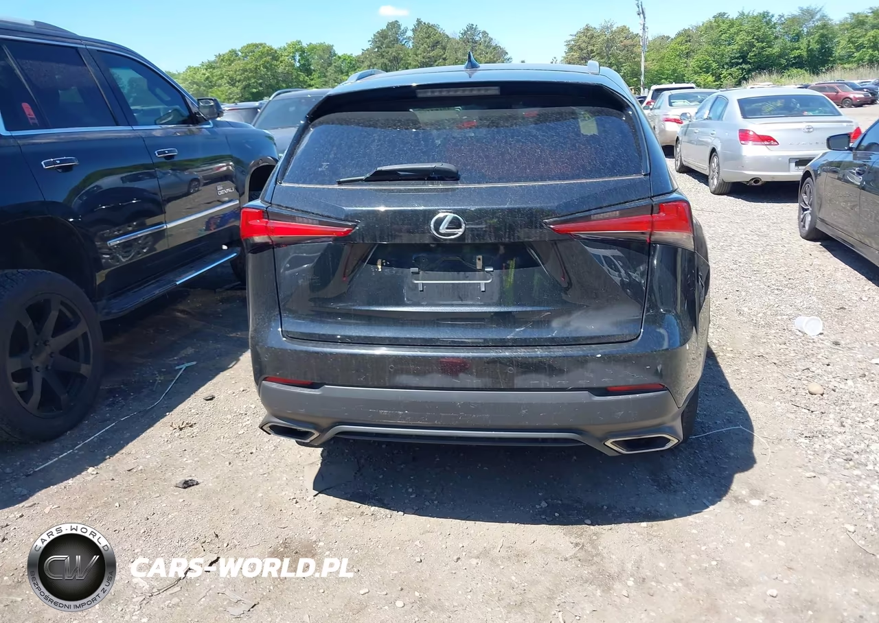 2021 Lexus Nx 300 VIN:JTJDARDZ8M2250511 - 15