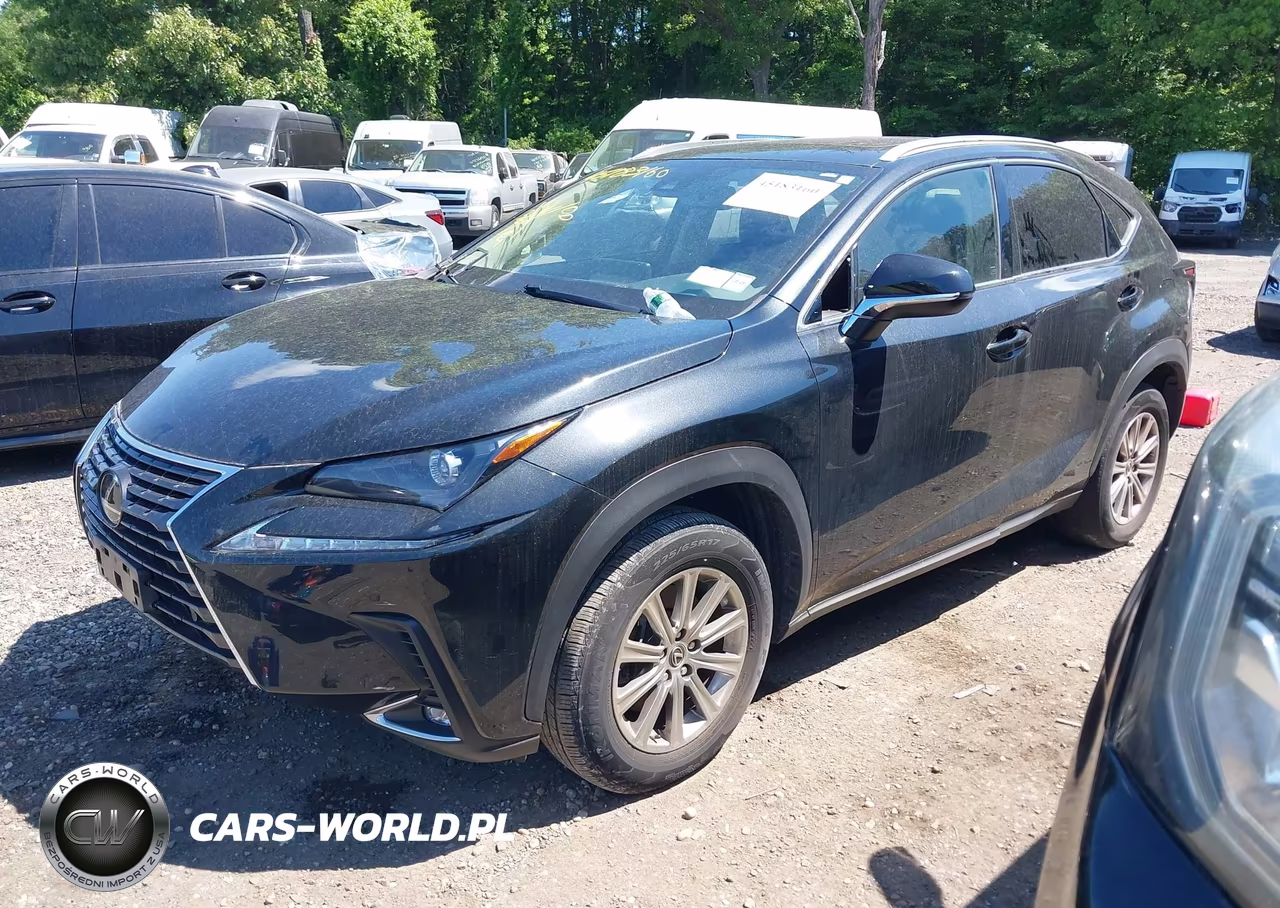 2021 Lexus Nx 300 VIN:JTJDARDZ8M2250511 - 2