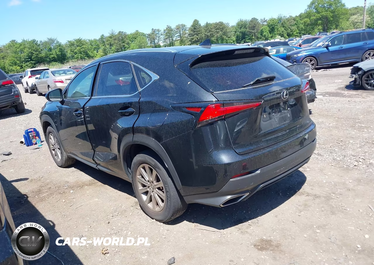 2021 Lexus Nx 300 VIN:JTJDARDZ8M2250511 - 3