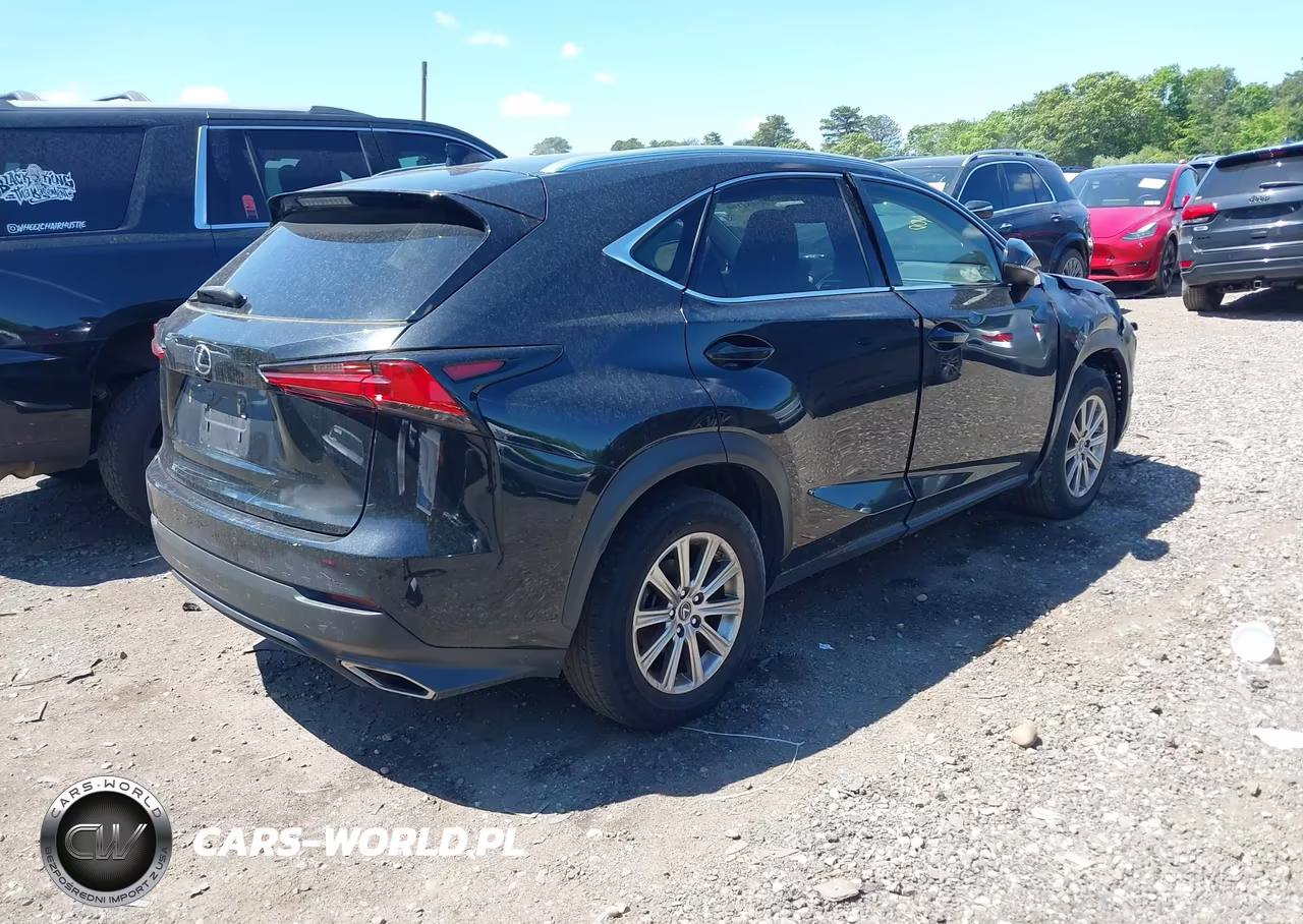 2021 Lexus Nx 300 VIN:JTJDARDZ8M2250511 - 4