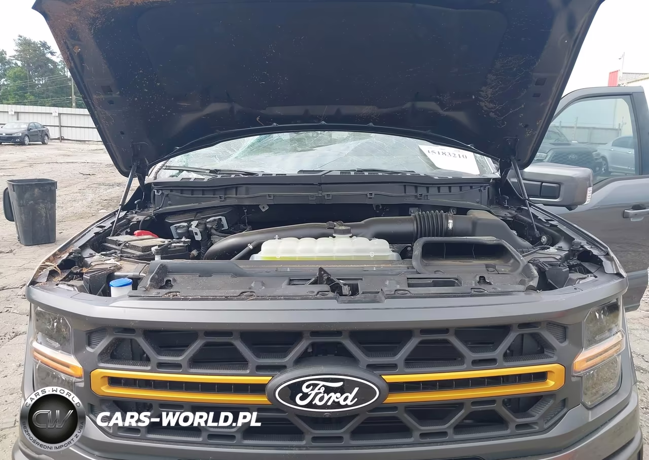 2025 Ford F-150 Tremor VIN:1FTFW4L83SFB27813 - 10