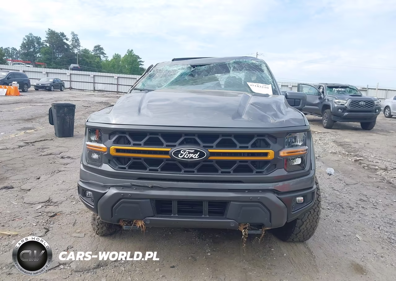2025 Ford F-150 Tremor VIN:1FTFW4L83SFB27813 - 12