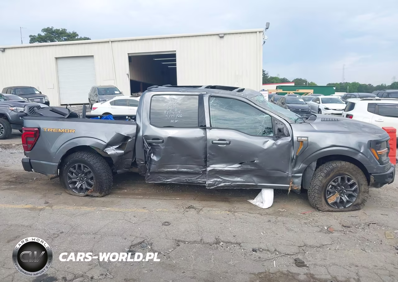 2025 Ford F-150 Tremor VIN:1FTFW4L83SFB27813 - 13