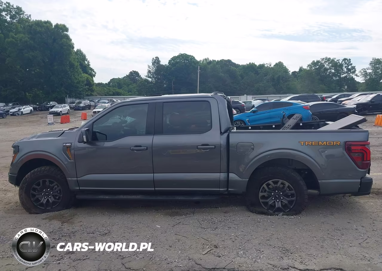 2025 Ford F-150 Tremor VIN:1FTFW4L83SFB27813 - 14