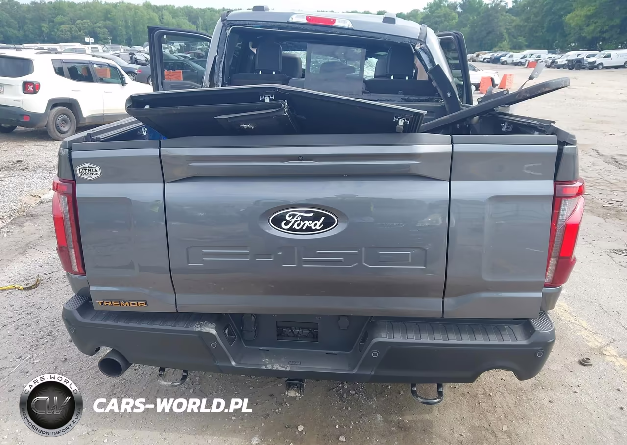 2025 Ford F-150 Tremor VIN:1FTFW4L83SFB27813 - 16