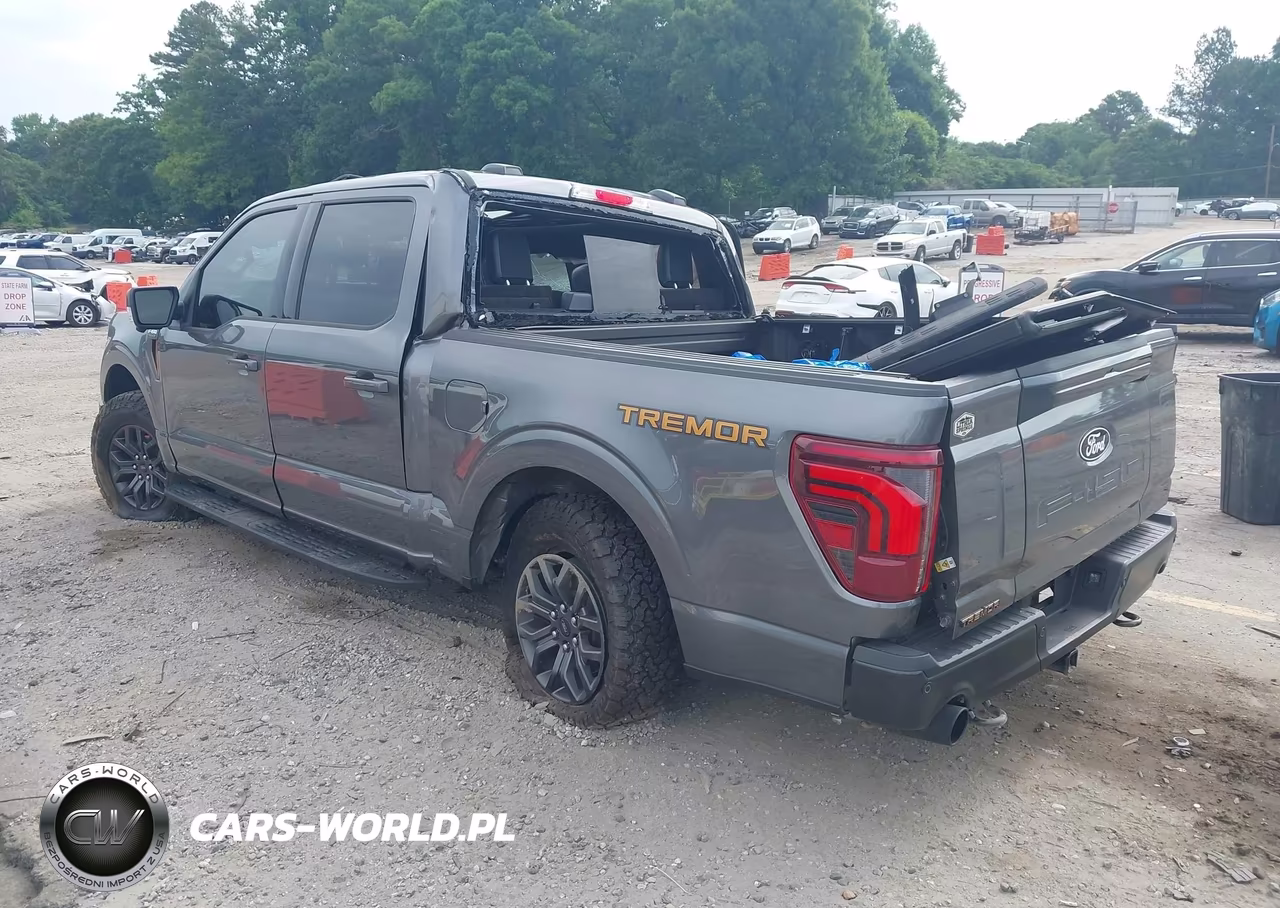 2025 Ford F-150 Tremor VIN:1FTFW4L83SFB27813 - 3