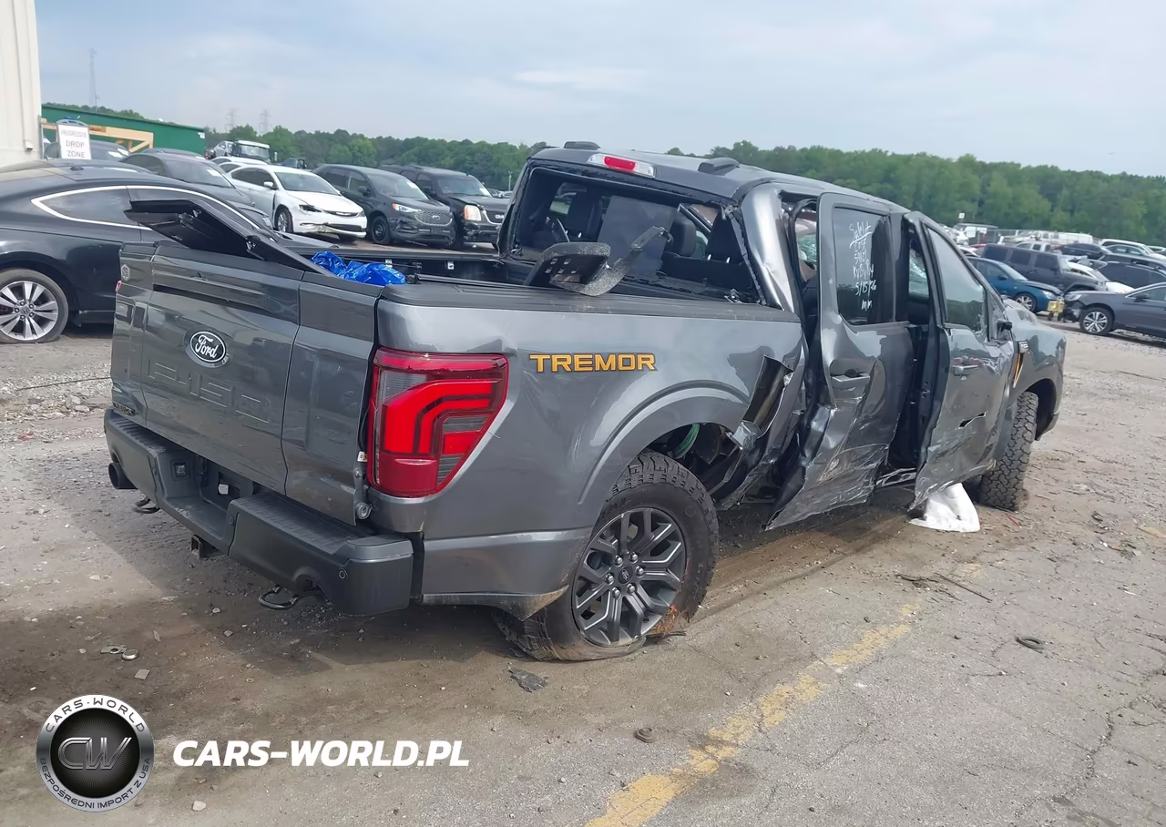 2025 Ford F-150 Tremor VIN:1FTFW4L83SFB27813 - 4