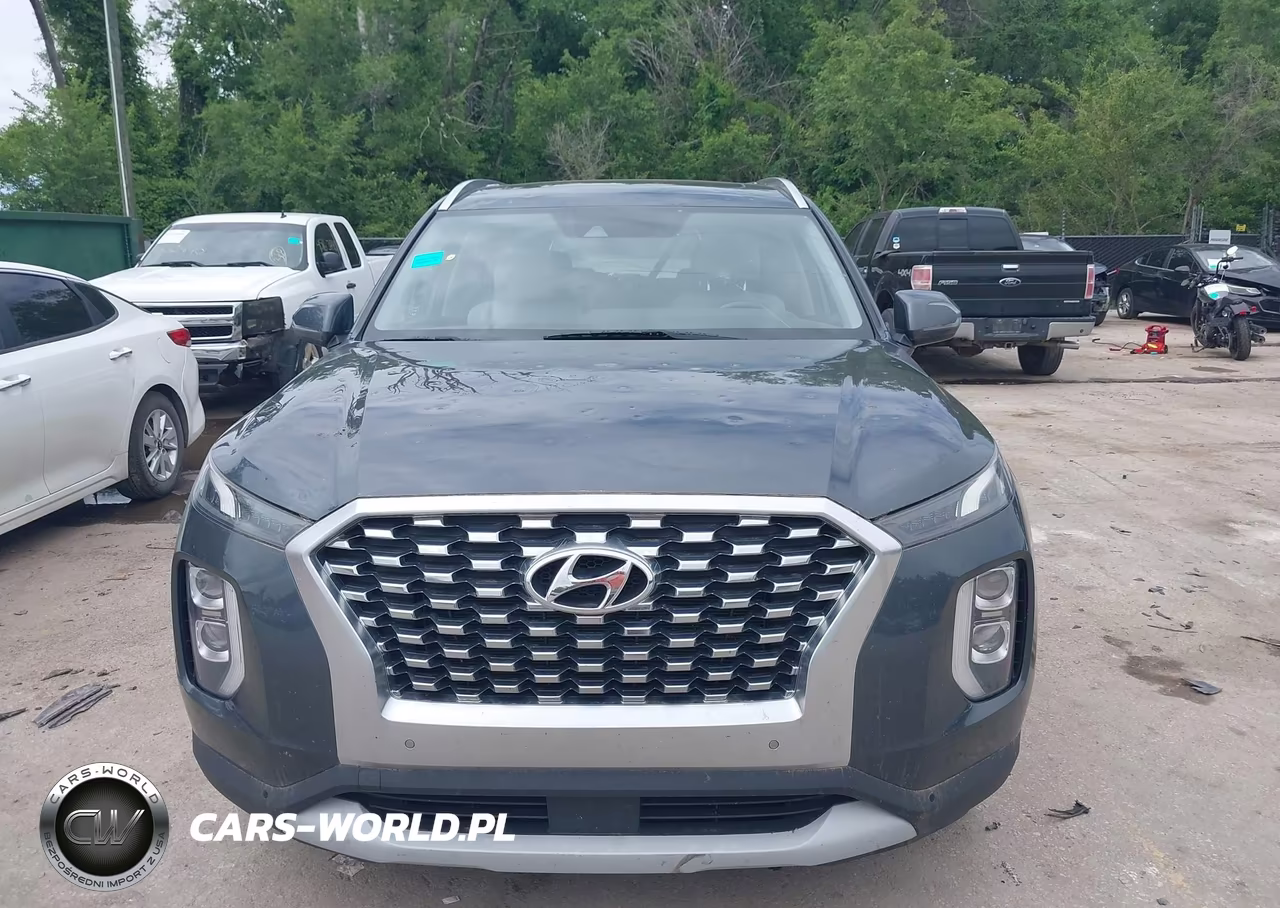 2020 Hyundai Palisade Sel VIN:KM8R3DHE1LU126270 - 12