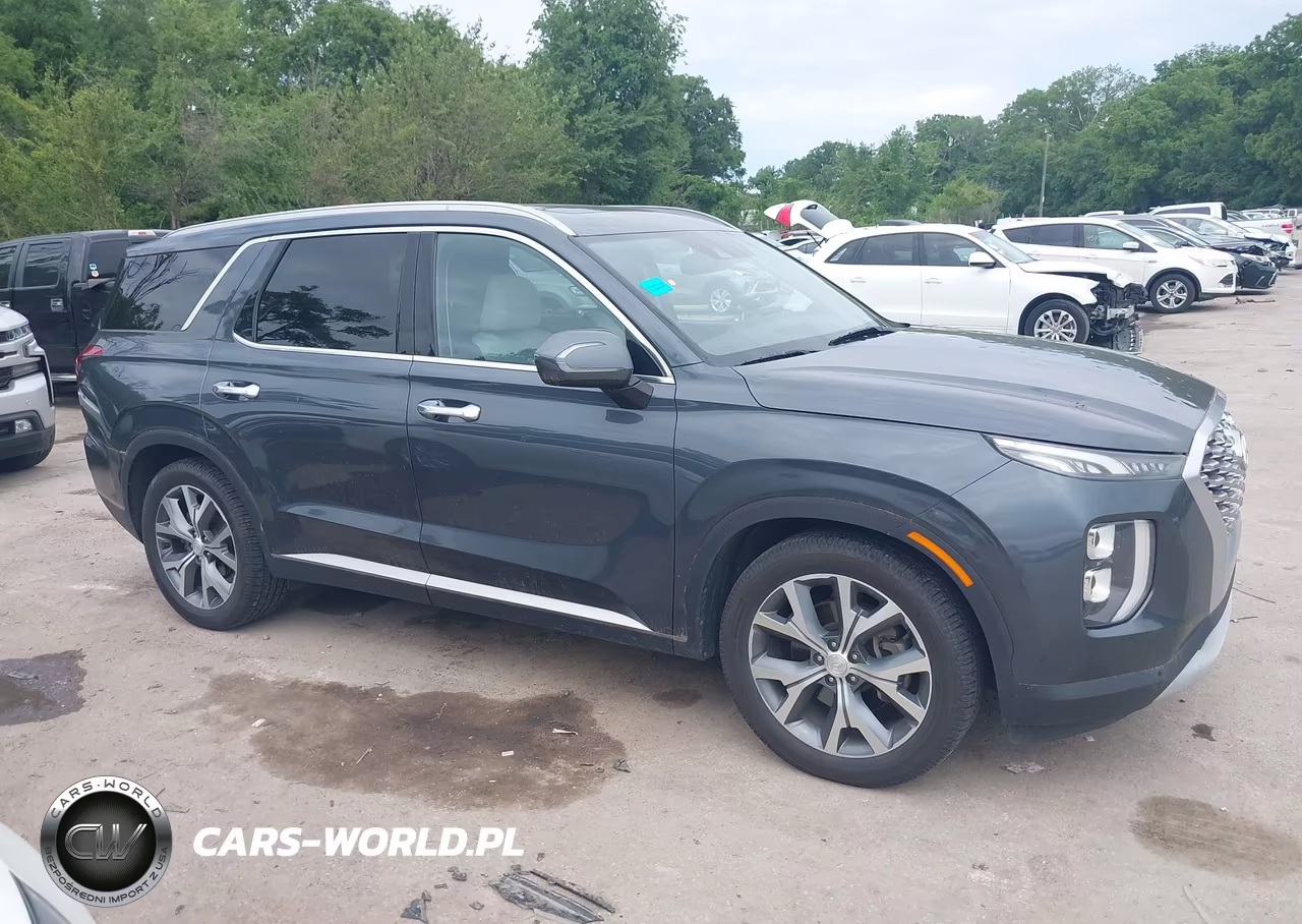 2020 Hyundai Palisade Sel VIN:KM8R3DHE1LU126270 - 13