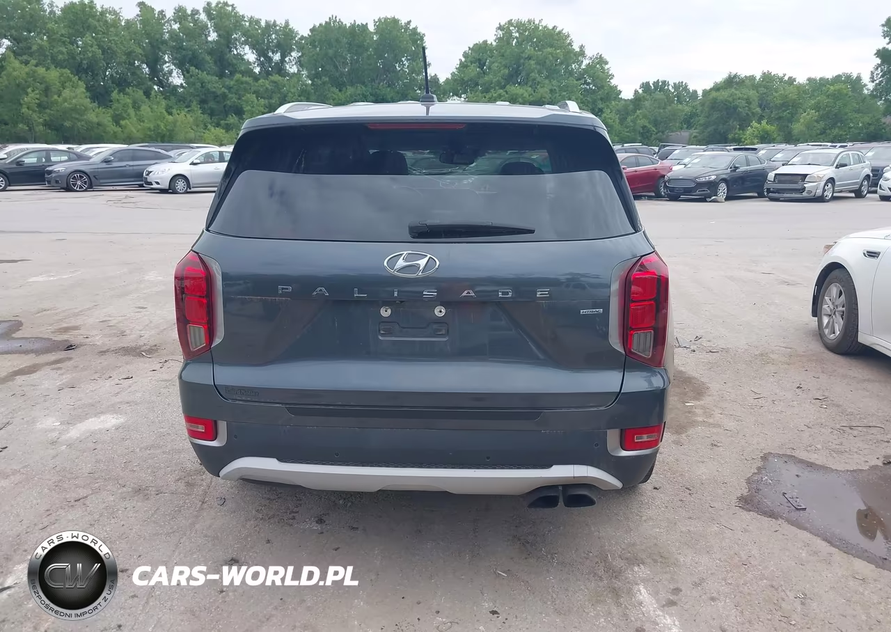 2020 Hyundai Palisade Sel VIN:KM8R3DHE1LU126270 - 16