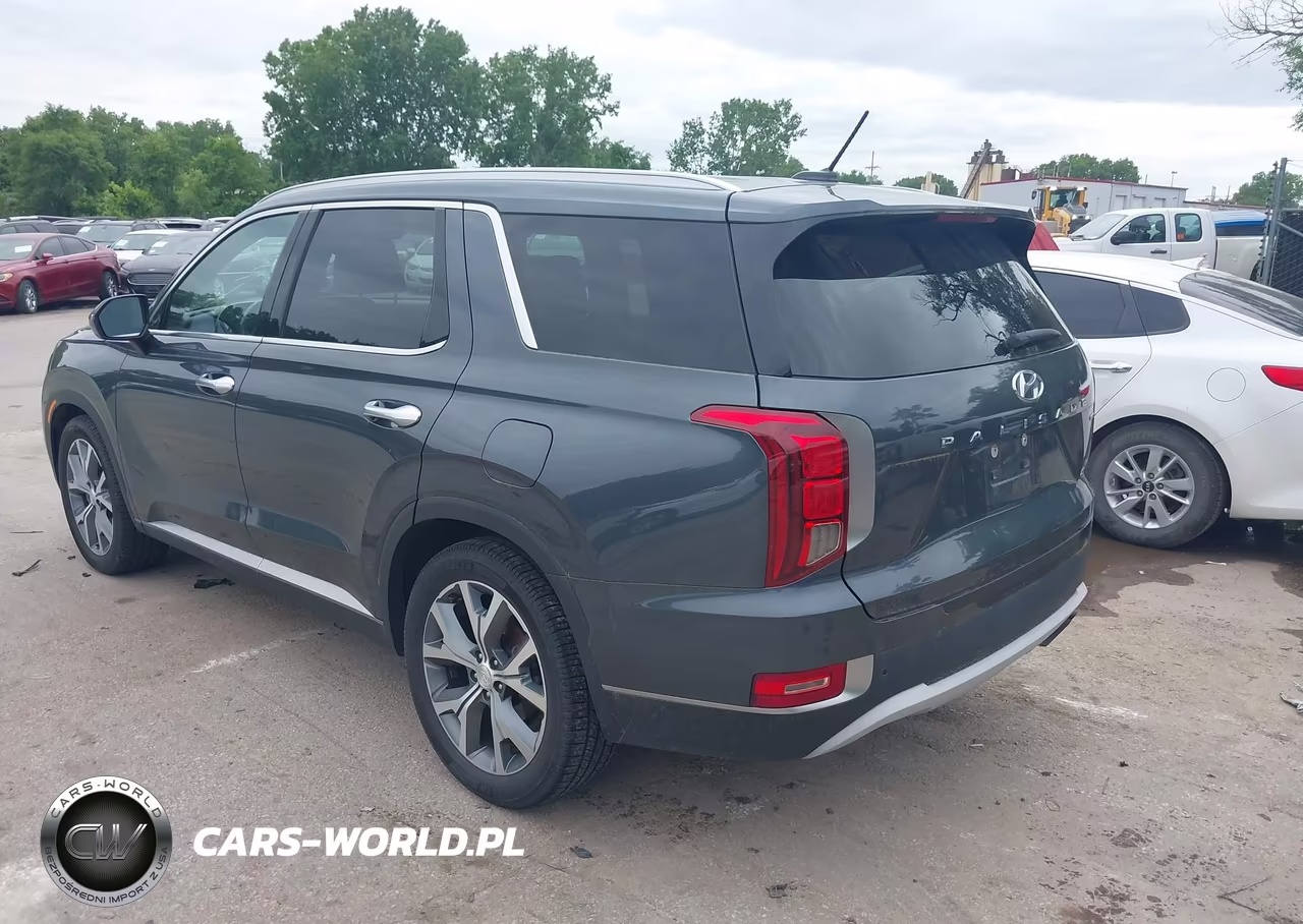 2020 Hyundai Palisade Sel VIN:KM8R3DHE1LU126270 - 3