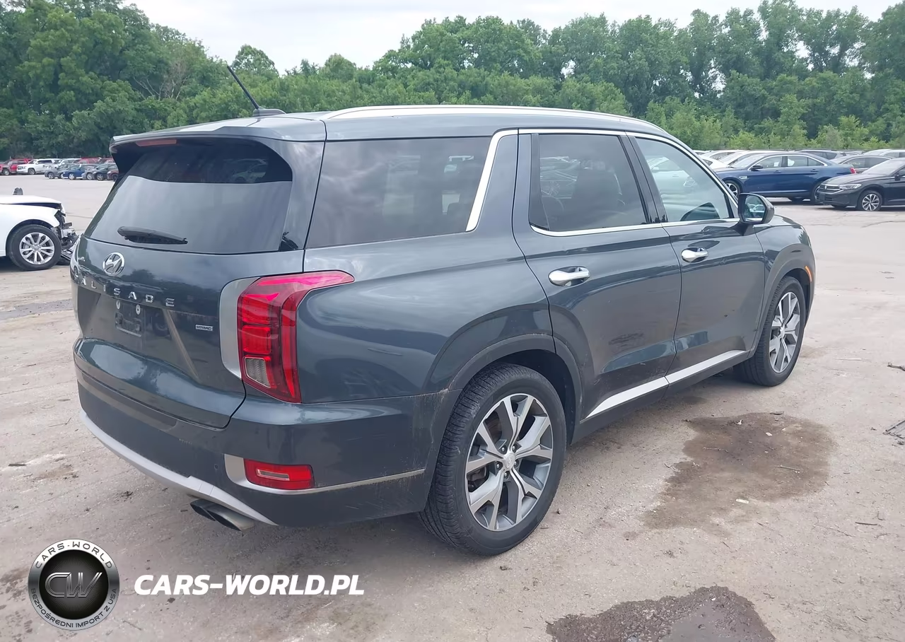 2020 Hyundai Palisade Sel VIN:KM8R3DHE1LU126270 - 4