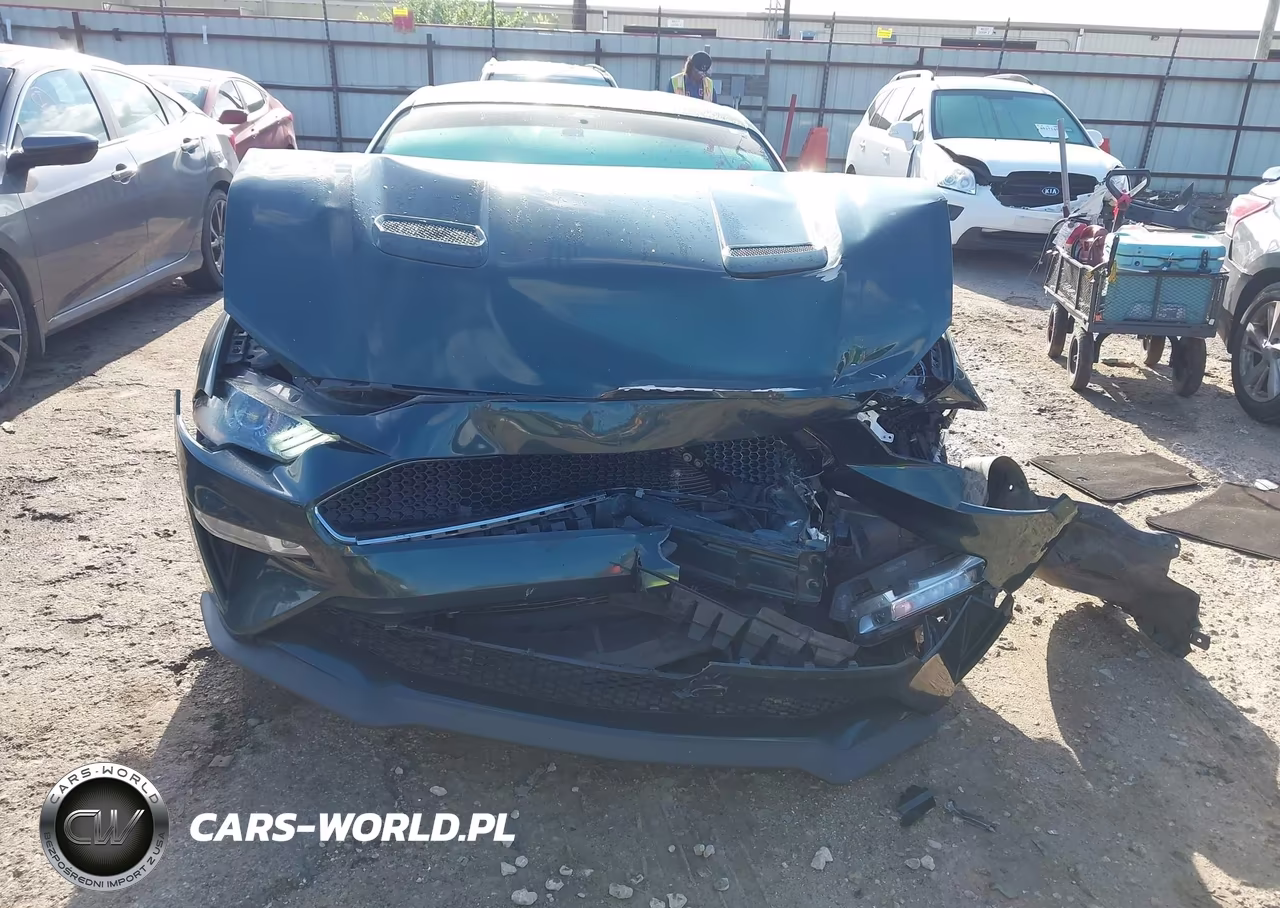 2019 Ford Mustang Bullitt VIN:1FA6P8K0XK5504486 - 12