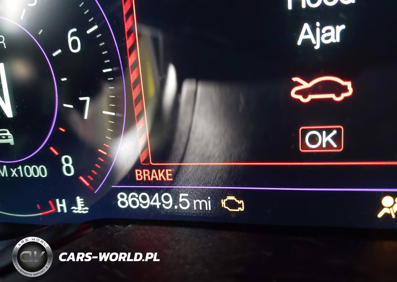 2019 Ford Mustang Bullitt VIN:1FA6P8K0XK5504486 - 15