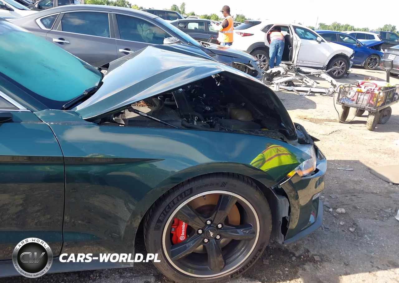 2019 Ford Mustang Bullitt VIN:1FA6P8K0XK5504486 - 6