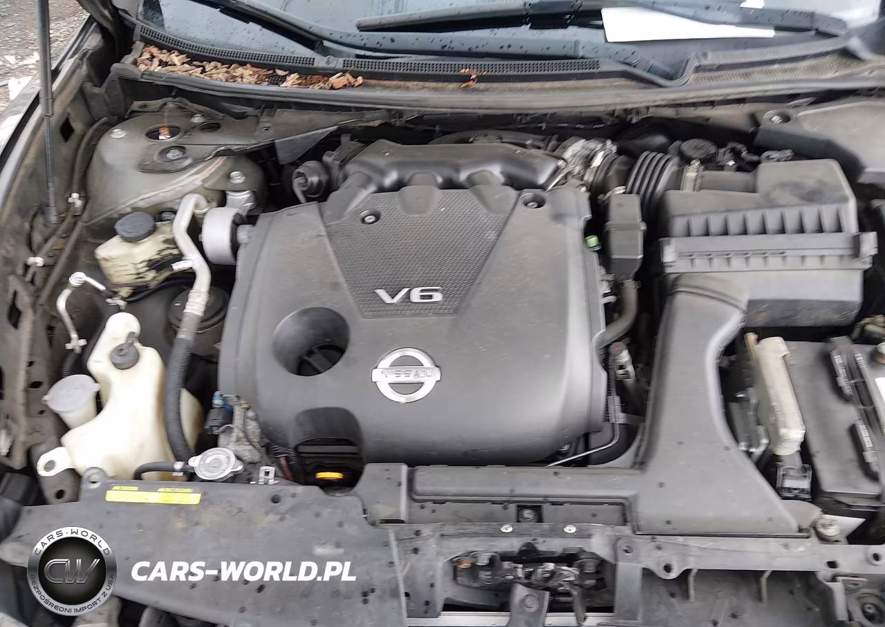 2013 Nissan Maxima 3.5 Sv VIN:1N4AA5AP4DC805553 - 10