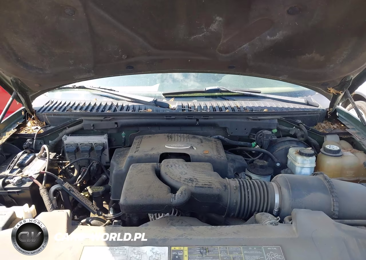 2004 Ford Expedition Eddie Bauer VIN:1FMFU18L64LA47228 - 10