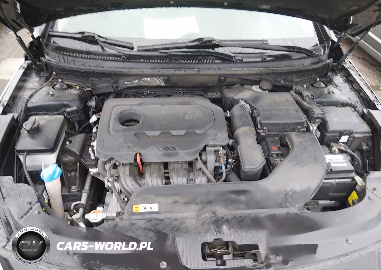 2017 Hyundai Sonata Limited VIN:5NPE34AF4HH489427 - 10
