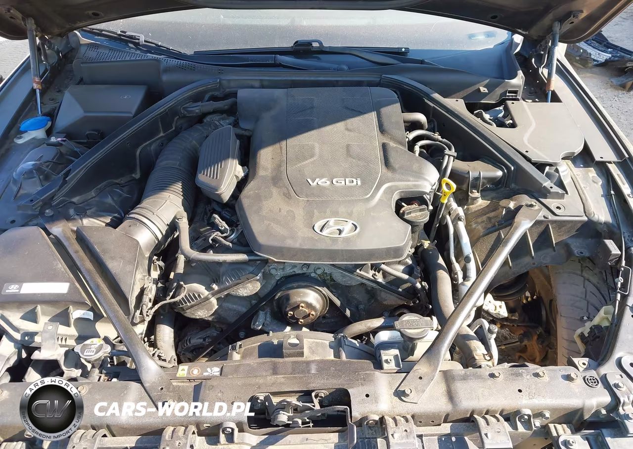 2015 Hyundai Genesis 3.8L VIN:KMHGN4JE3FU039664 - 10