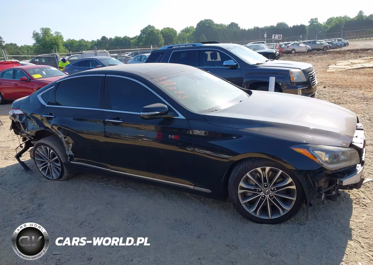 2015 Hyundai Genesis 3.8L VIN:KMHGN4JE3FU039664 - 12
