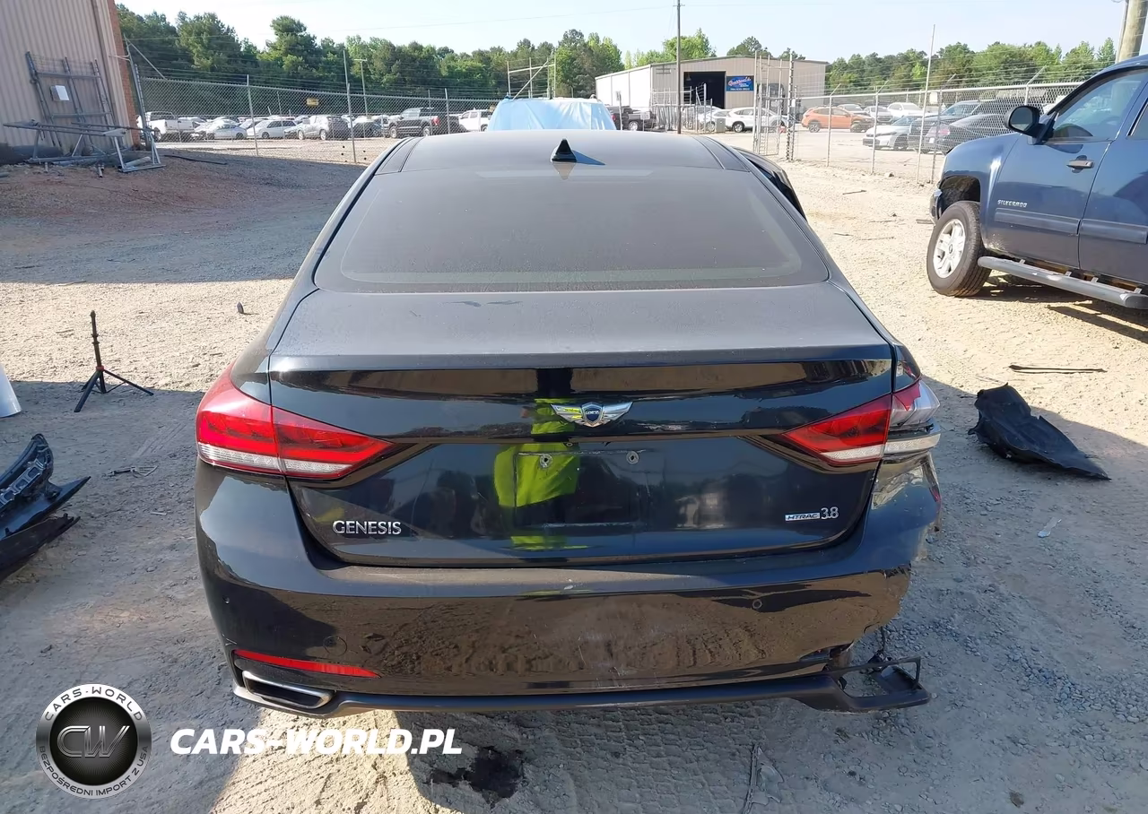 2015 Hyundai Genesis 3.8L VIN:KMHGN4JE3FU039664 - 15