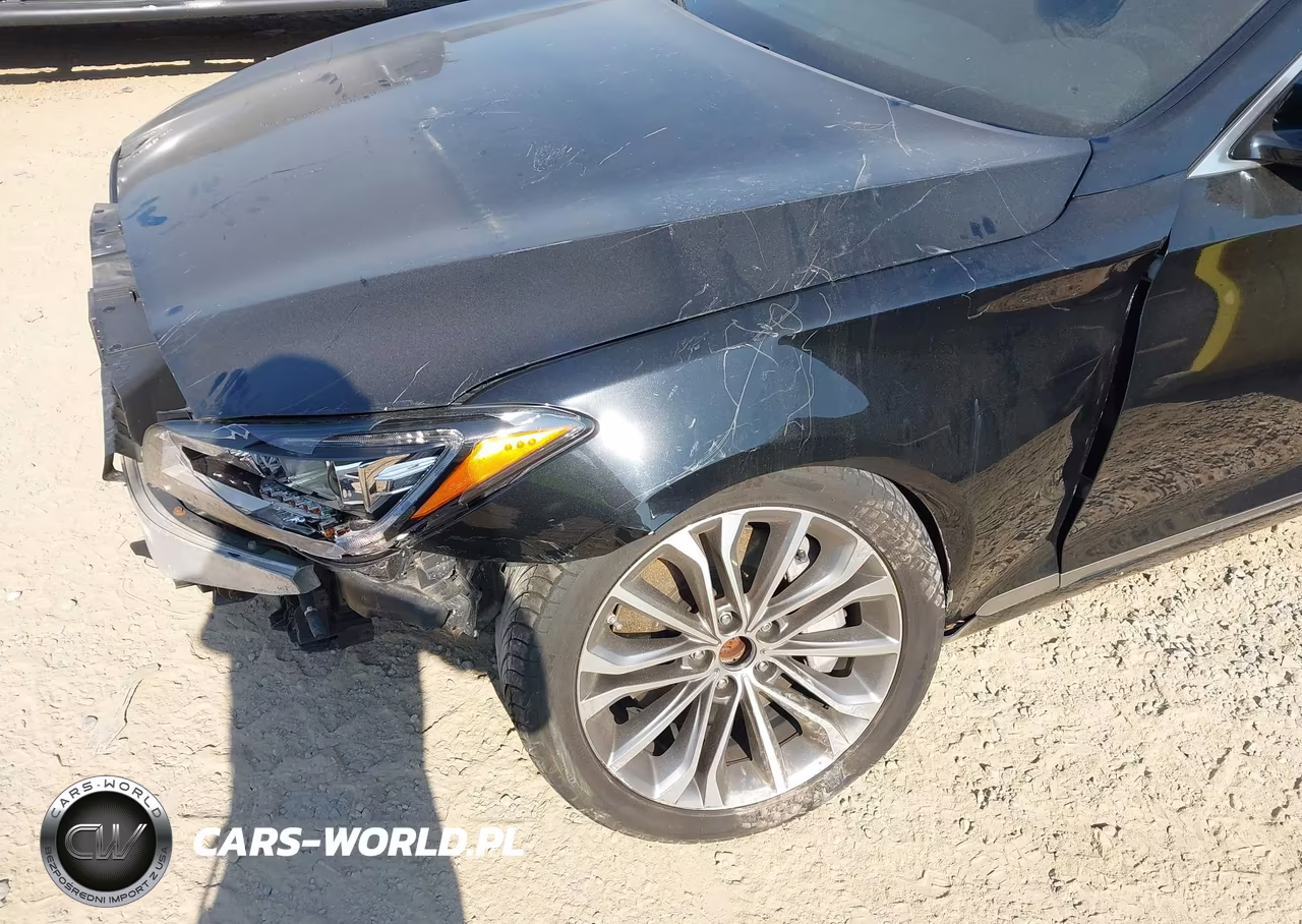 2015 Hyundai Genesis 3.8L VIN:KMHGN4JE3FU039664 - 6