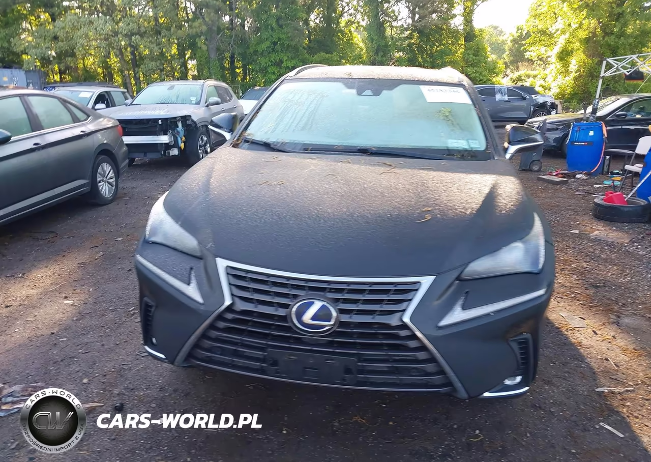 2021 Lexus Nx 300H VIN:JTJGJRDZ4M2151410 - 12