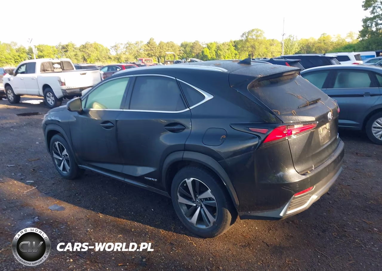 2021 Lexus Nx 300H VIN:JTJGJRDZ4M2151410 - 14
