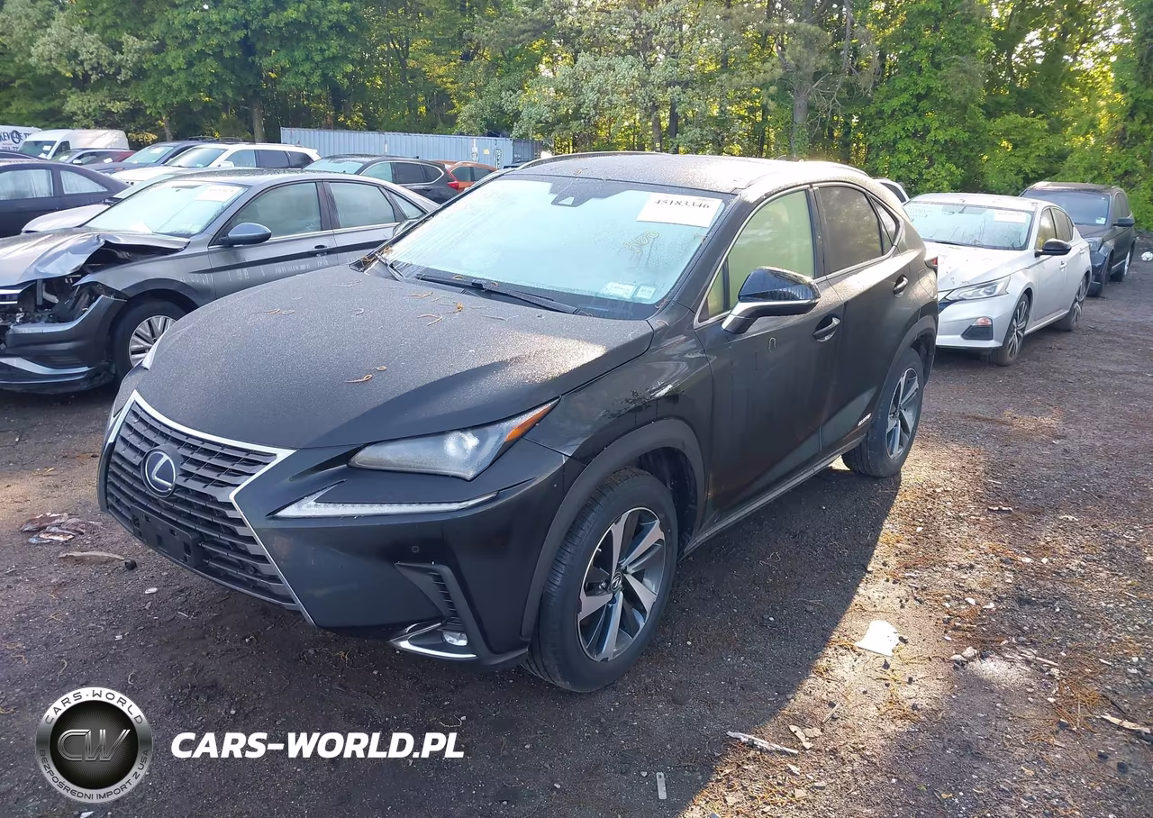 2021 Lexus Nx 300H VIN:JTJGJRDZ4M2151410 - 2