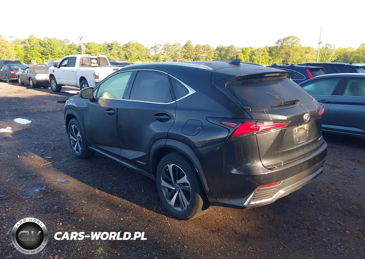 2021 Lexus Nx 300H VIN:JTJGJRDZ4M2151410 - 3