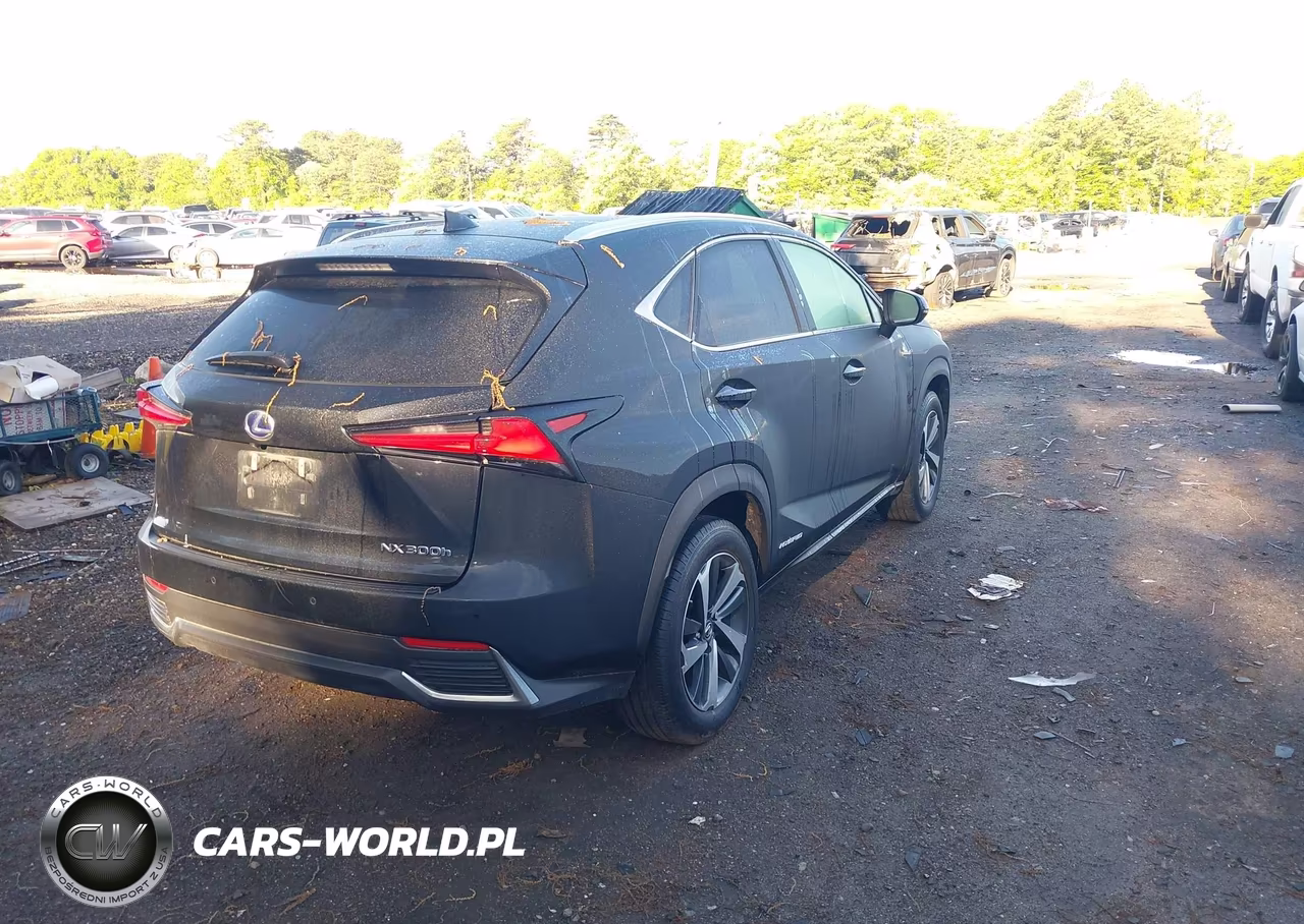 2021 Lexus Nx 300H VIN:JTJGJRDZ4M2151410 - 4