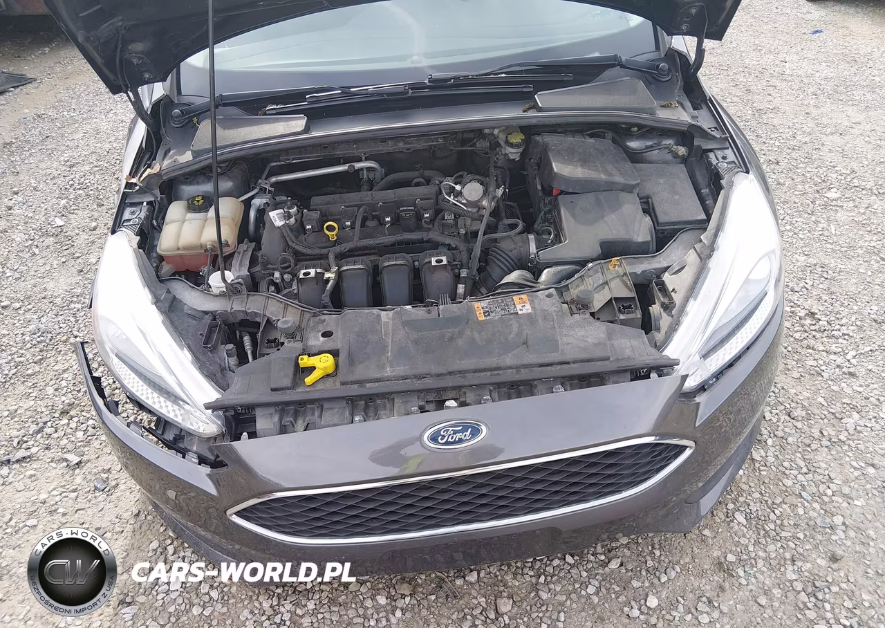 2016 Ford Focus Se VIN:1FADP3K22GL318634 - 10