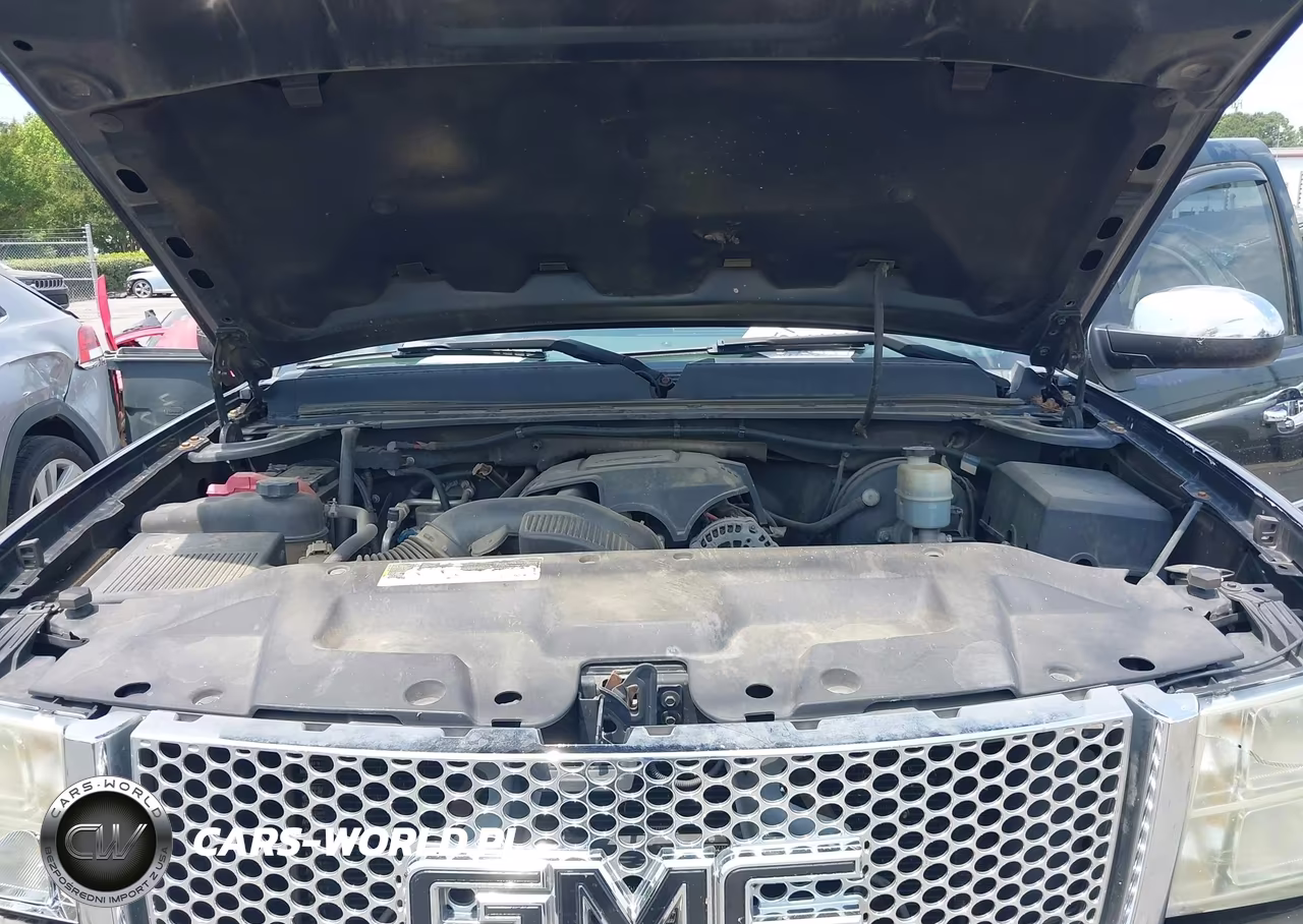 2009 GMC Sierra 1500 Denali VIN:3GTEK03269G251062 - 10