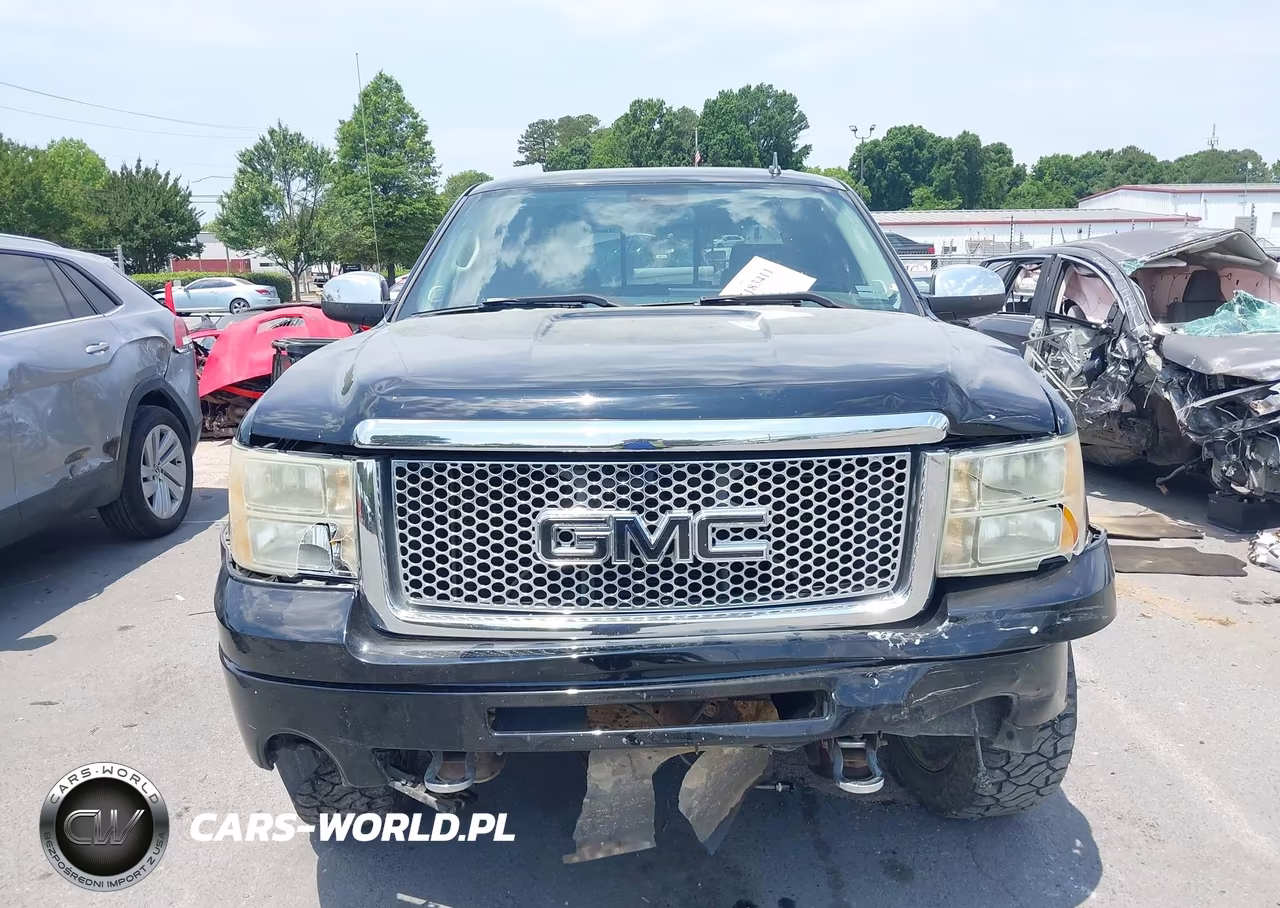 2009 GMC Sierra 1500 Denali VIN:3GTEK03269G251062 - 12