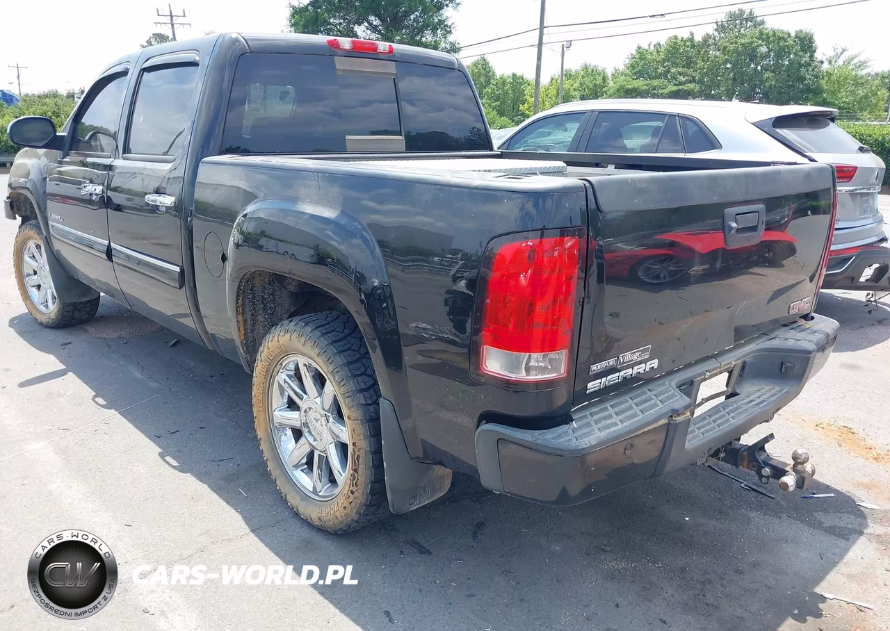 2009 GMC Sierra 1500 Denali VIN:3GTEK03269G251062 - 3