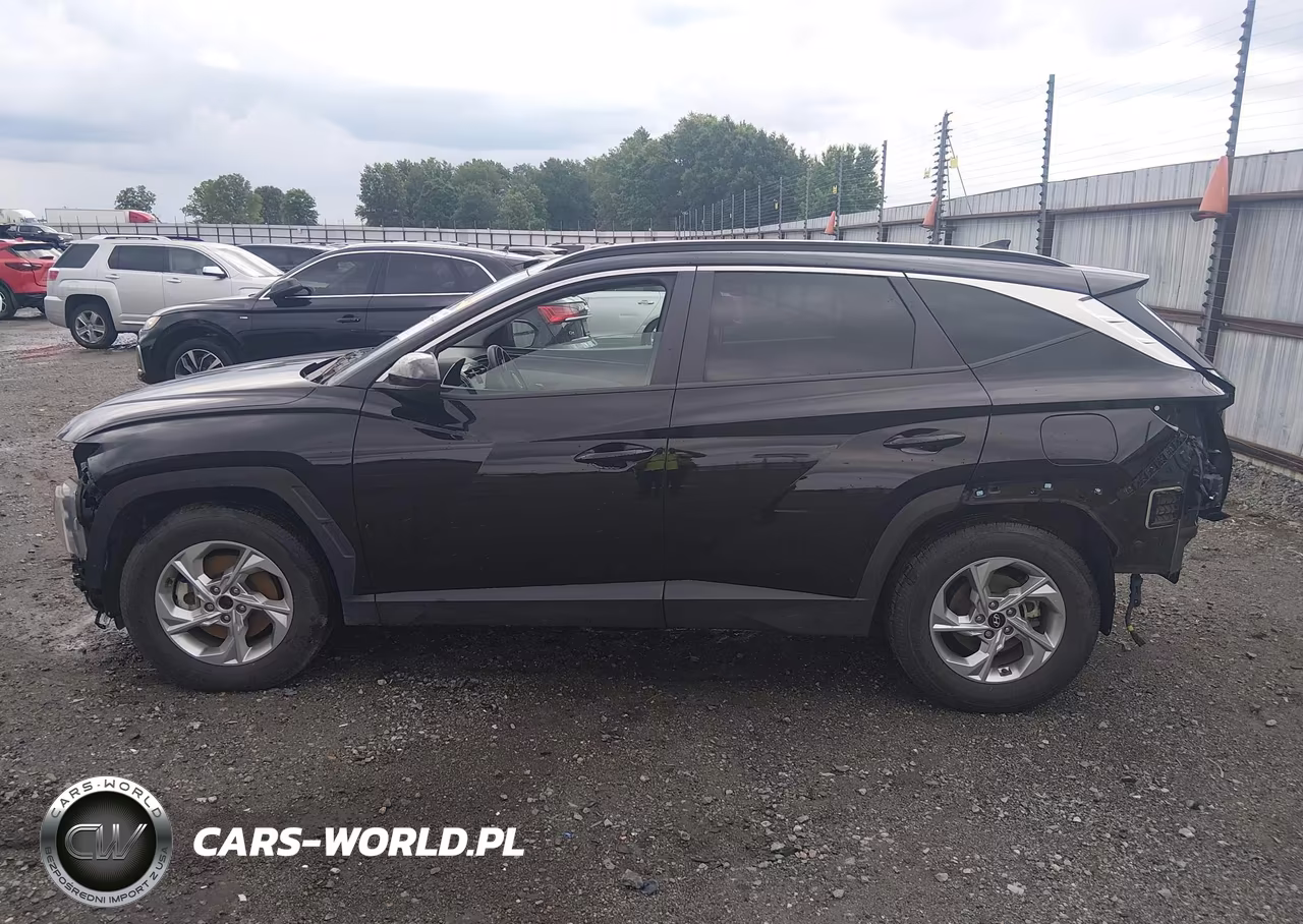 2024 Hyundai Tucson Sel VIN:KM8JB3DE5RU275659 - 14