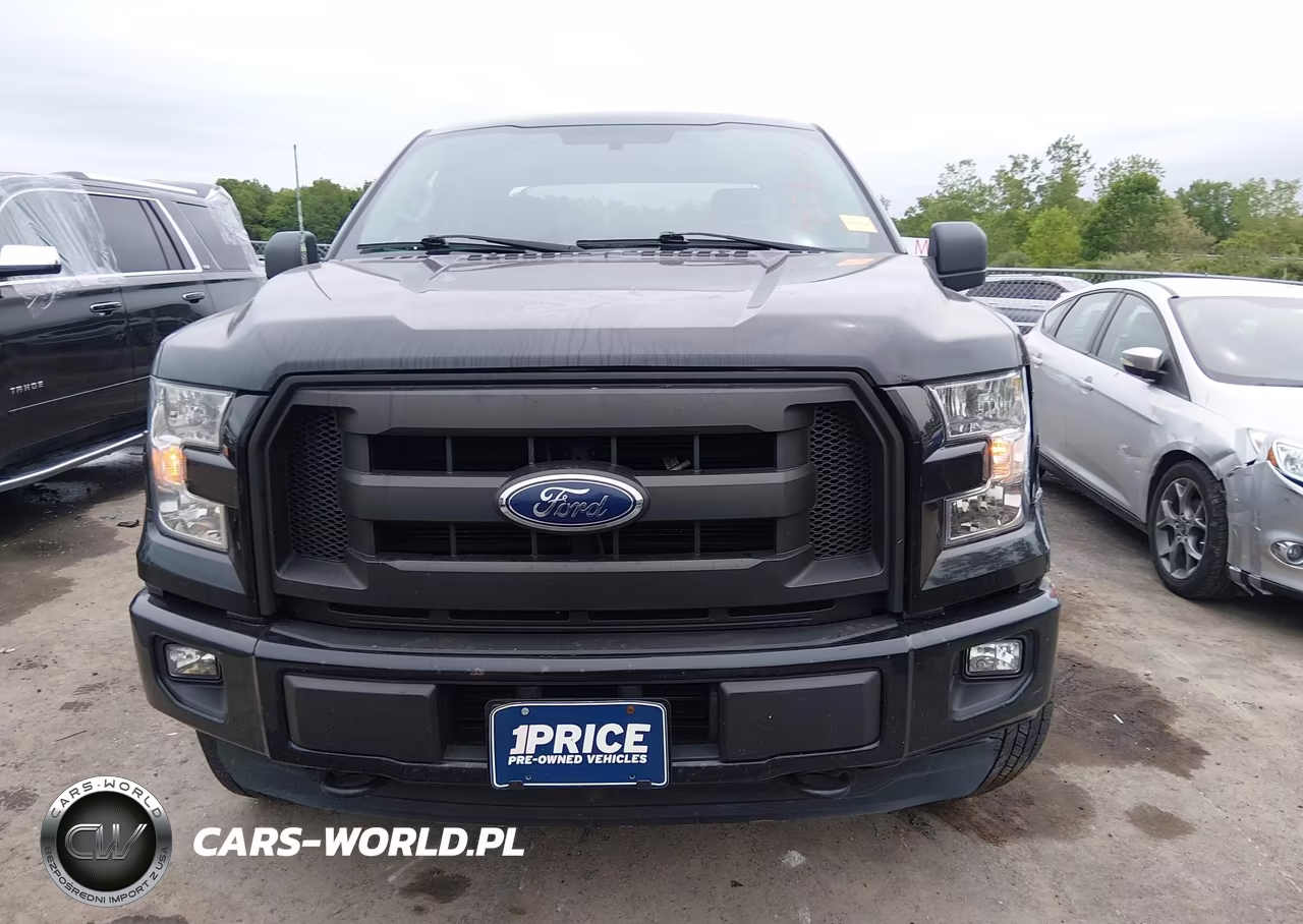 2016 Ford F-150 Xl VIN:1FTEX1EP8GFD60332 - 12