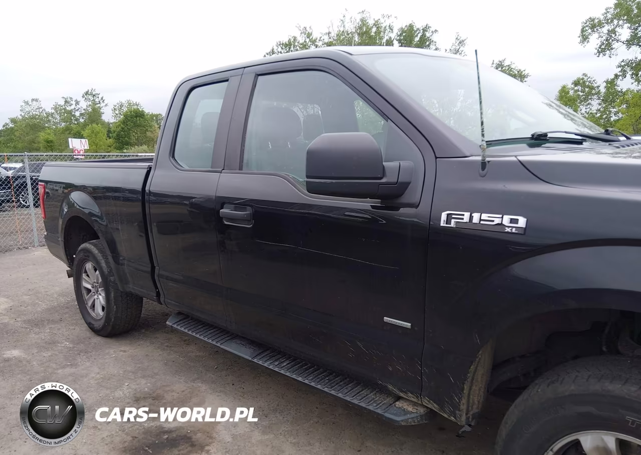 2016 Ford F-150 Xl VIN:1FTEX1EP8GFD60332 - 13