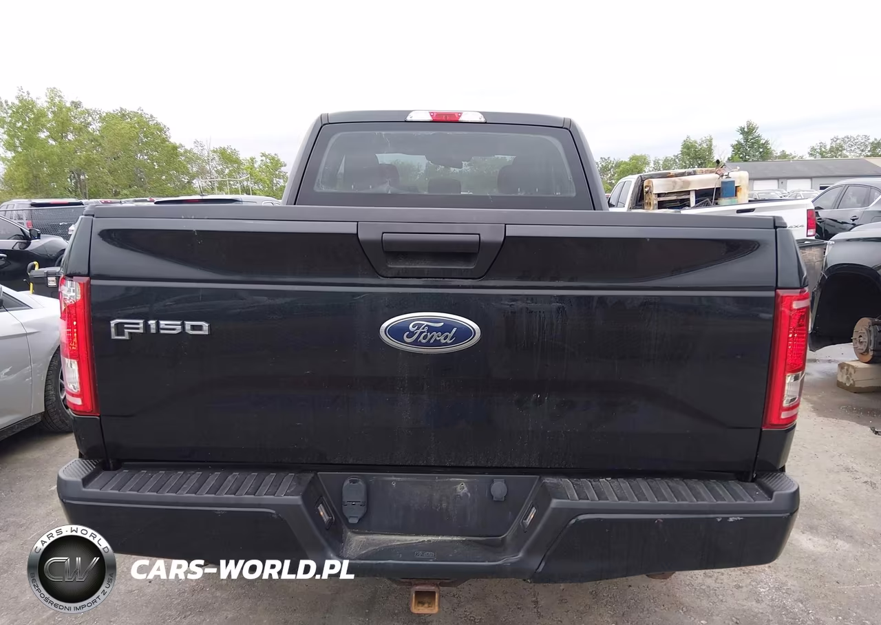 2016 Ford F-150 Xl VIN:1FTEX1EP8GFD60332 - 16