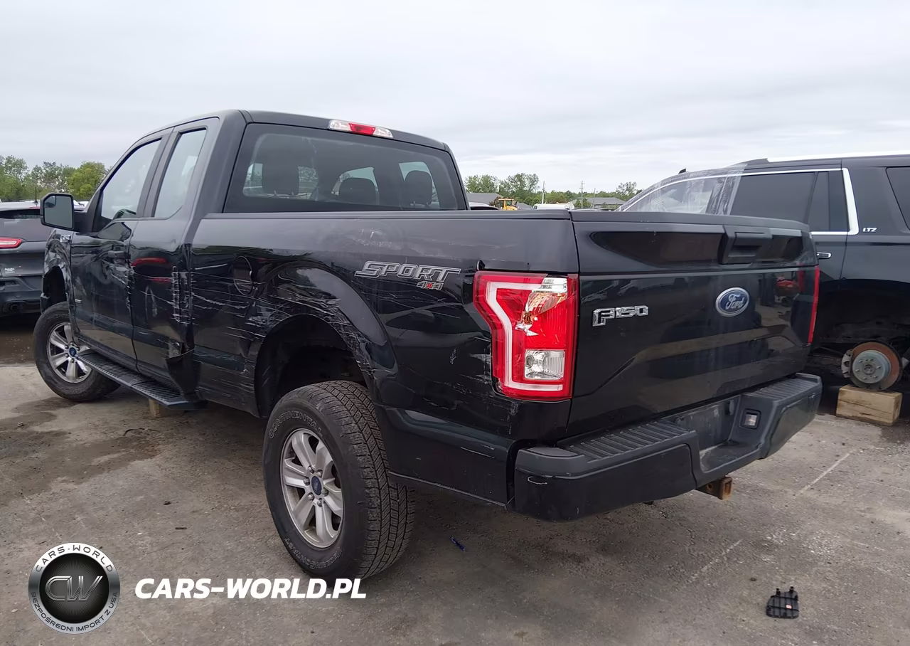 2016 Ford F-150 Xl VIN:1FTEX1EP8GFD60332 - 3