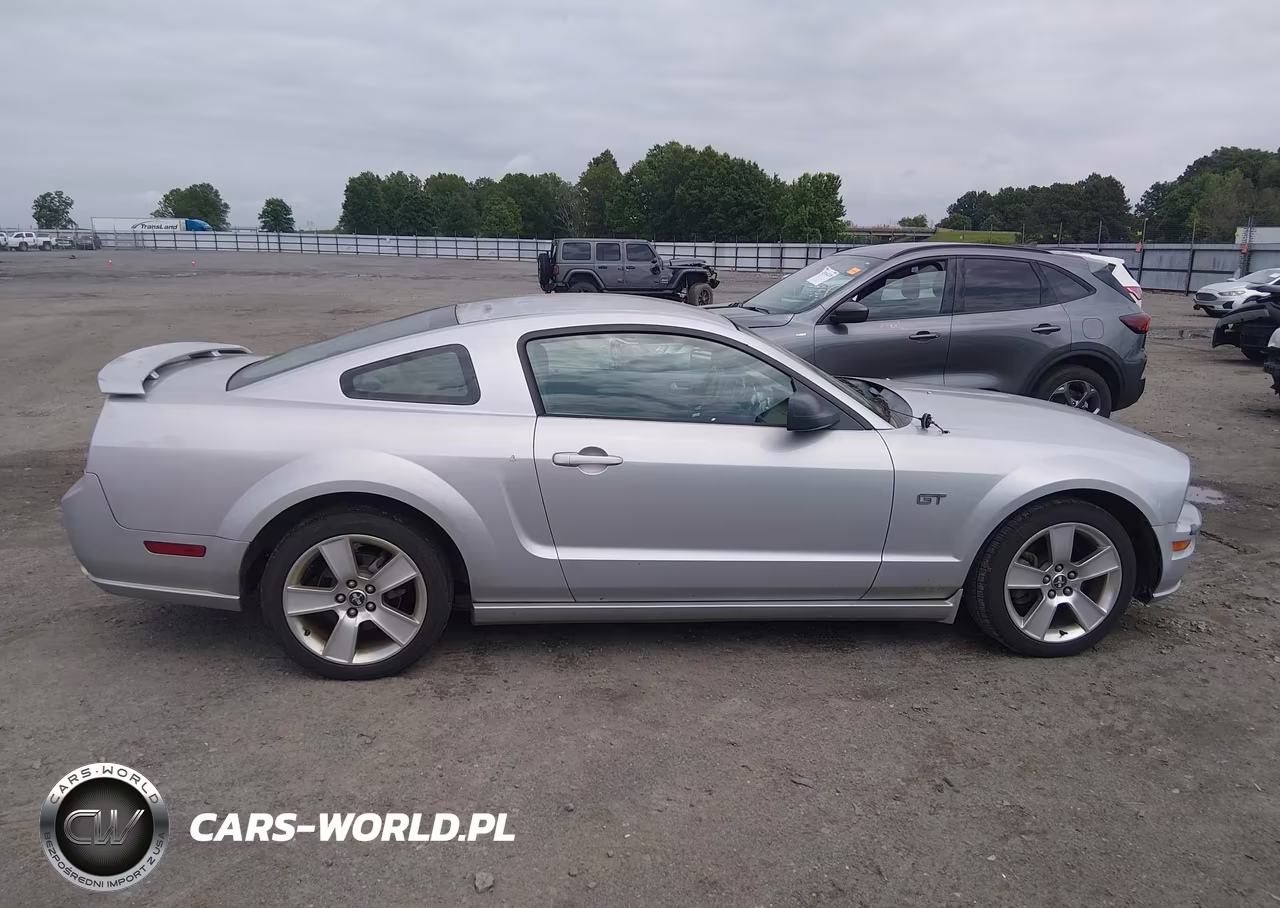 2006 Ford Mustang Gt VIN:1ZVFT82H165240086 - 13