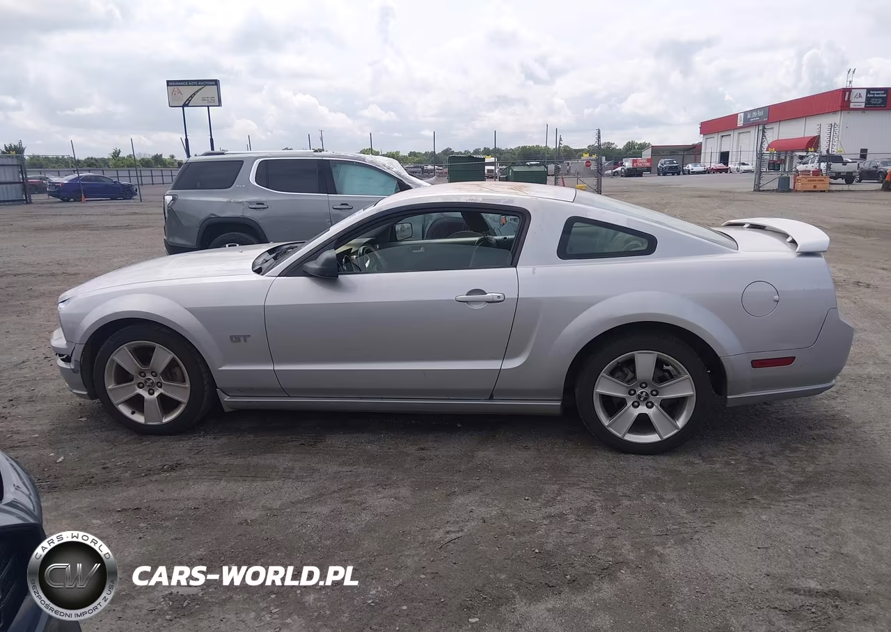 2006 Ford Mustang Gt VIN:1ZVFT82H165240086 - 14