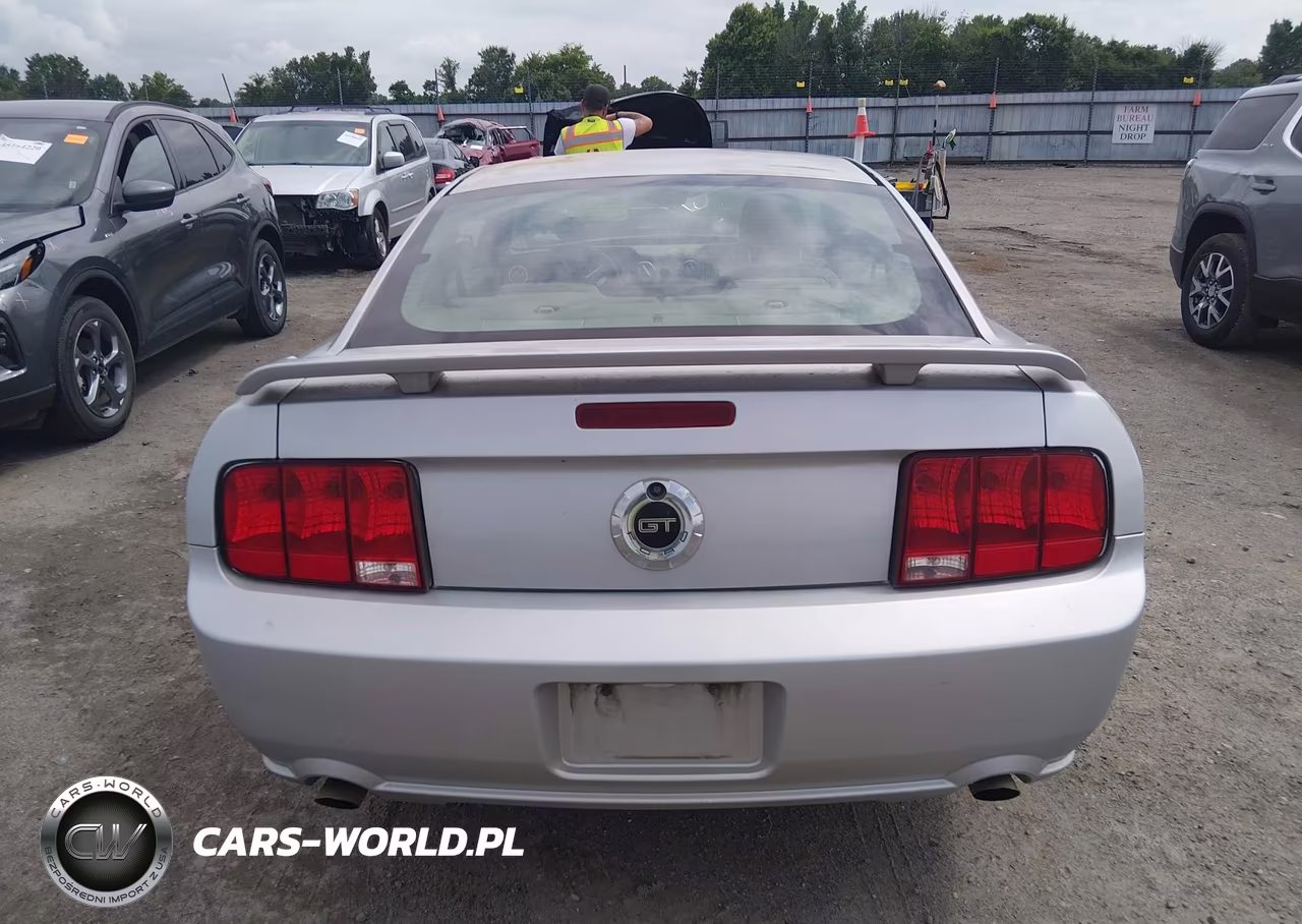 2006 Ford Mustang Gt VIN:1ZVFT82H165240086 - 16