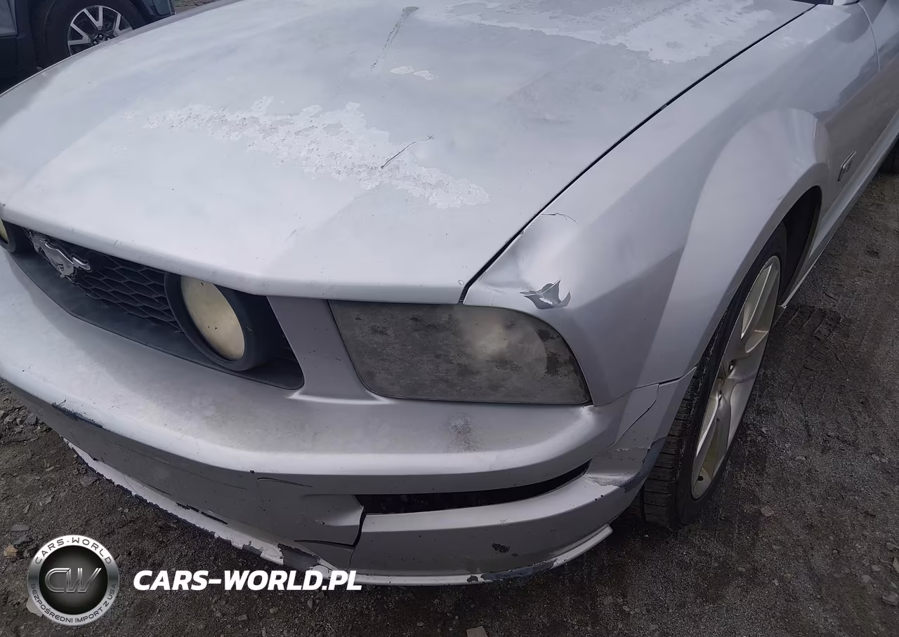 2006 Ford Mustang Gt VIN:1ZVFT82H165240086 - 17